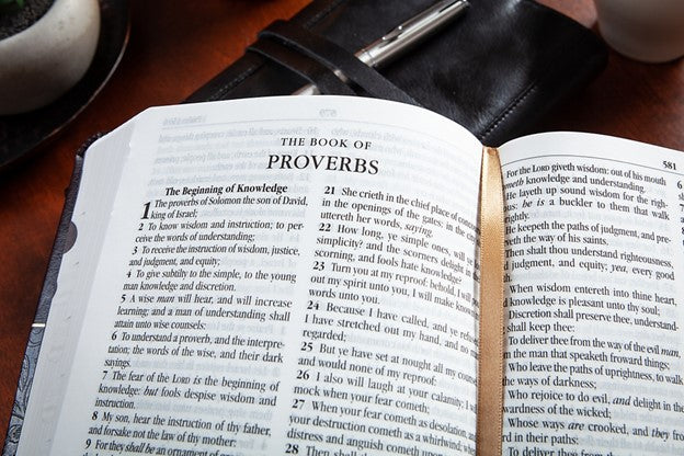 Kjv Bible - Compact Granite