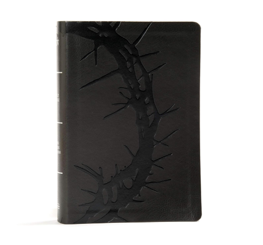 KJV Large Print Bible, Charcoal Leathertouch