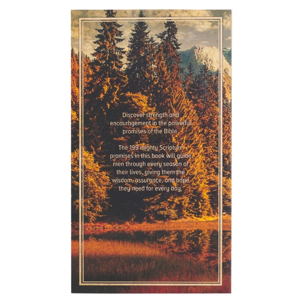 Favorite Bible Verses for Men Softcover