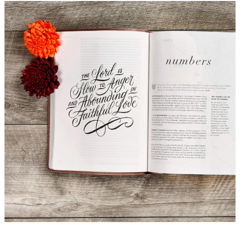 CSB She Reads Truth Bible, Rose Gold Leather Touch, Easy-to-Read Bible Serif Type