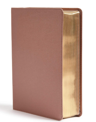 CSB She Reads Truth Bible, Rose Gold Leather Touch, Easy-to-Read Bible Serif Type