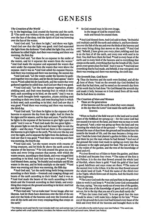 ESV Economy Bible, Softcover