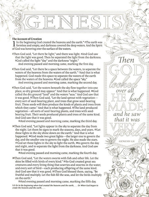 NLT Inspire Bible: The Bible for Coloring & Creative Journaling--Softcover, pink