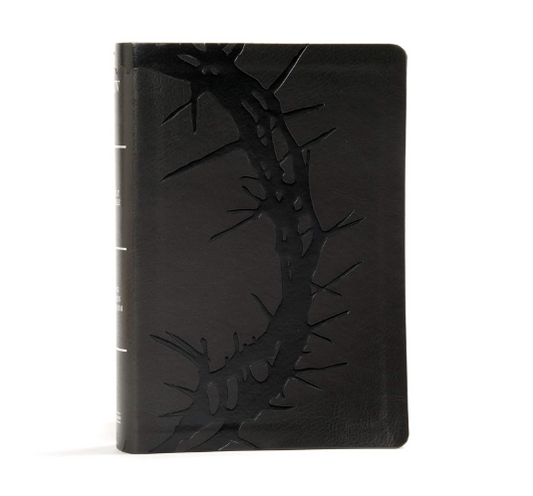 KJV Large Print Bible, Charcoal Leathertouch