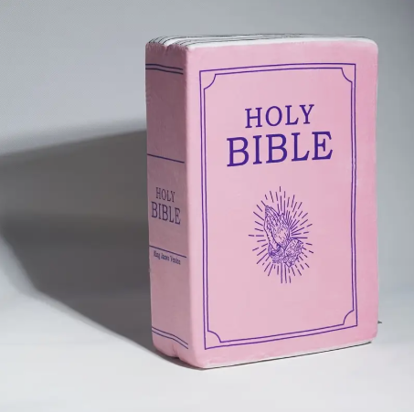 Bible Pillow Book Plush